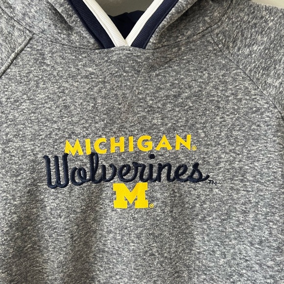 Champion Gray Michigan Wolverines Hoodie - Picture 2 of 3